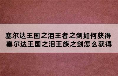 塞尔达王国之泪王者之剑如何获得 塞尔达王国之泪王族之剑怎么获得